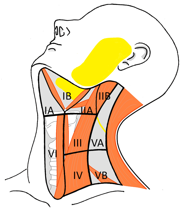 Figura 3.2